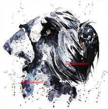 Giant schnauzer schnauzer for sale  UK