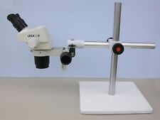 Microscopio zoom stereo usato  Italia