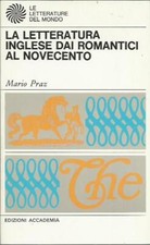 Letteratura inglese dai usato  Italia
