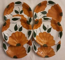 Piatti ceramica dipinta usato  Soliera