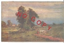 Buscaglione paesaggio agreste. usato Buscaglione paesaggio agreste. usato  Bazzano