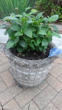 Large barrel concrete for sale  MAIDENHEAD