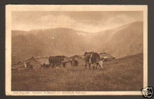 Hohneck farm cattle d'occasion  Expédié en Belgium
