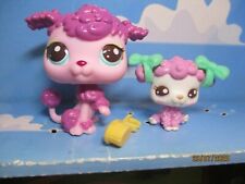 Petshop duo maman d'occasion  Bailleul