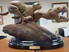Richard macdonald coursing for sale  Monterey