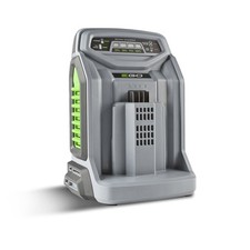 Ego ladegerät ch5500e gebraucht kaufen  Aurich