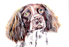 Springer spaniel art for sale  NOTTINGHAM