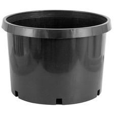 Gallon premium nursery for sale  Lincoln