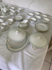 Paragon fine bone for sale  THATCHAM