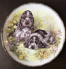 Royal vale bone for sale  BRIGHTON
