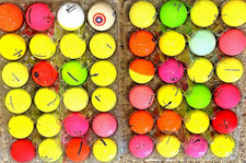 Dozen brightly colored for sale  Holland