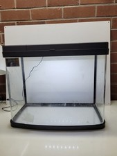 Love fish panorama for sale  NOTTINGHAM