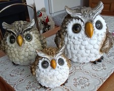 Resin owl family for sale  NORWICH
