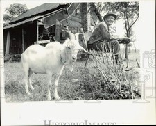pet goat home for sale pet goat home for sale Memphis