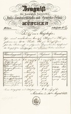 Zeugnis adolph mayrhofer gebraucht kaufen  Seubersdorf
