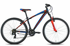 Bici torpado mtb usato  Castro
