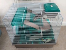 Rosewood pico hamster for sale  HOLMFIRTH