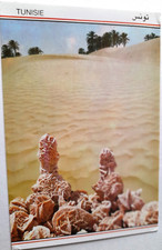 Carte postale - Tunisie - Sahara - Roses des sables + timbre 350 comprar usado  Enviando para Brazil