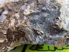 Minerali italiani storica usato  Roma