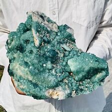 14.4lb natural green for sale  Burlington