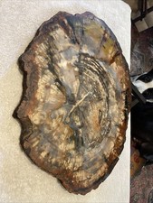 Large petrified wood for sale Large petrified wood for sale  Ottsville