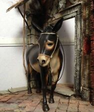 Asino animale presepe usato  Napoli