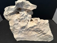 Texas limestone holey for sale  Worth