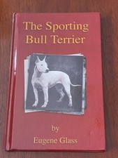 Rare sporting bull for sale  WARRINGTON
