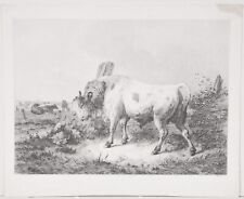 Friedrich johann voltz gebraucht kaufen  Worpswede