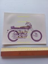 Testi champion 1974 usato  Vimodrone