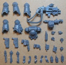 Space marines sternguard for sale  CHICHESTER