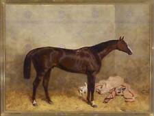 Painting animal sport for sale Painting animal sport for sale  EDINBURGH