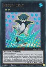 Requin chat ur d'occasion Requin chat ur d'occasion  France