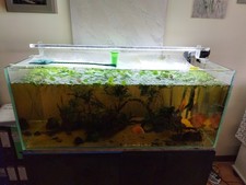 Acquario 300 litri usato  Roma