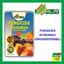 Fungicida sistemico momentum usato  Altamura
