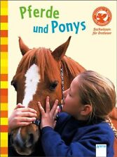 Pferde ponys gebraucht kaufen  Berlin