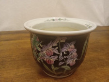 Black orchid vintage for sale  Sebeka