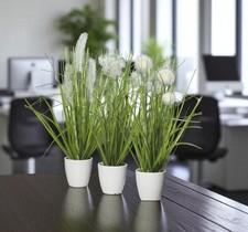 Mucplants kunstpflanze gras gebraucht kaufen  Velbert
