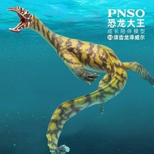 Pnso 2020 zewail usato  Magenta