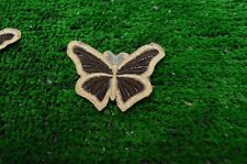 Ancien écusson papillon d'occasion  Bohain-en-Vermandois