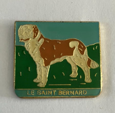 Pin chien saint d'occasion  Aizenay