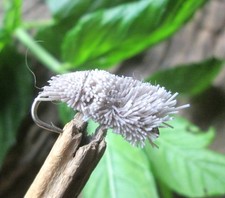Gilchrist fliegen brotfliegen gebraucht kaufen Gilchrist fliegen brotfliegen gebraucht kaufen  Göppingen