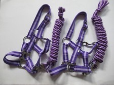 Set halfter führstrick gebraucht kaufen  Weiden