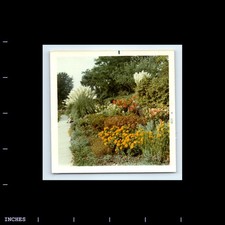 Square color photo for sale  Grass Valley