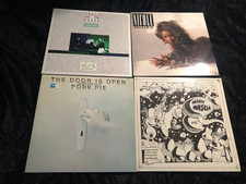 Sammlung rock lps gebraucht kaufen  Bad Honnef