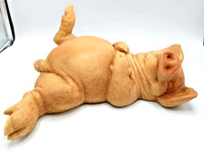 Large sleeping pig for sale  LIGHTWATER