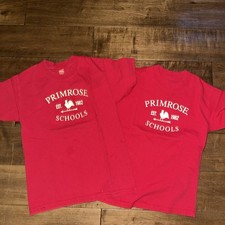 Hanes primrose school for sale  Tampa