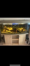 aquarium 500l gebraucht kaufen aquarium 500l gebraucht kaufen Betzdorf