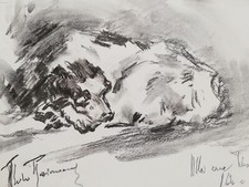 Aldo raimondi raro usato Aldo raimondi raro usato  Palagiano