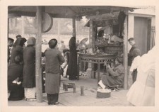 16953 eb. fotografia usato  Montevarchi